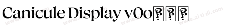 Canicule Display v0字体转换